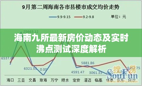 海南九所最新房价动态及实时沸点测试深度解析