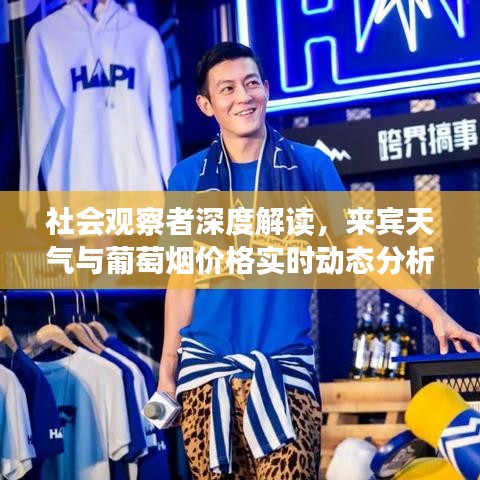 社会观察者深度解读,来宾天气与葡萄烟价格实时动态分析