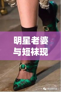 明星老婆与短袜现象,深度观察社会现象的反思