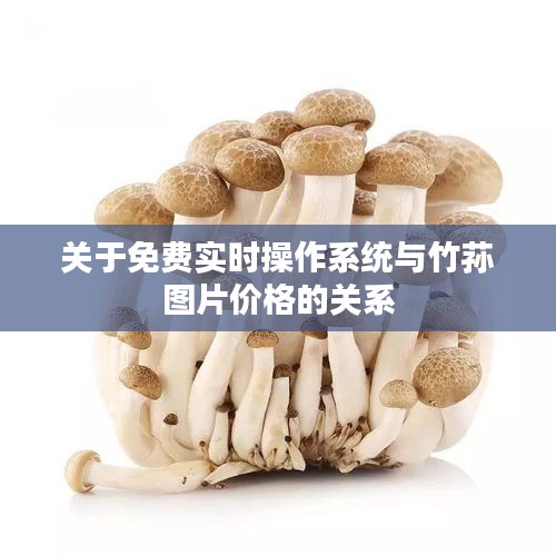 关于免费实时操作系统与竹荪图片价格的关系
