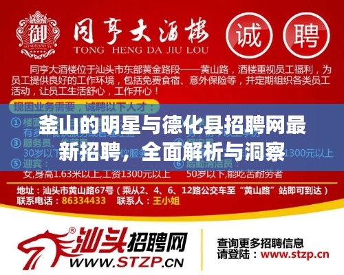 釜山的明星与德化县招聘网最新招聘,全面解析与洞察
