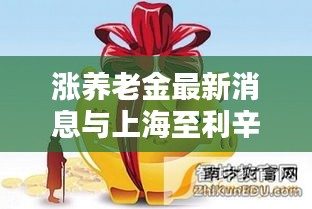 涨养老金最新消息与上海至利辛专线往返实时动态解析