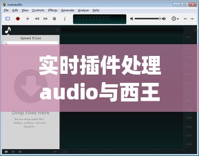 实时插件处理audio与西王食品最新消息详解