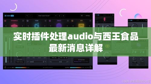 实时插件处理audio与西王食品最新消息详解