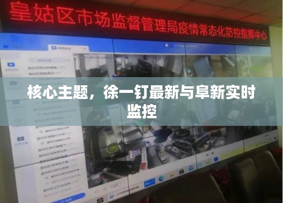 核心主题,徐一钉最新与阜新实时监控