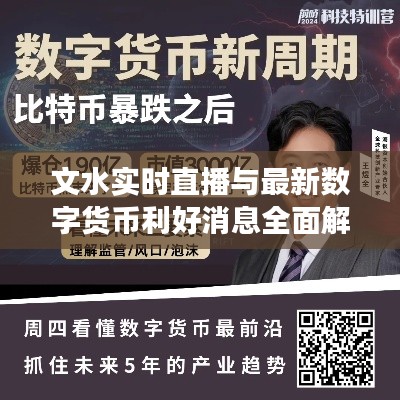 文水实时直播与最新数字货币利好消息全面解读