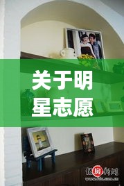 关于明星志愿3、金像奖和餐边柜最新款式图片的深度探讨