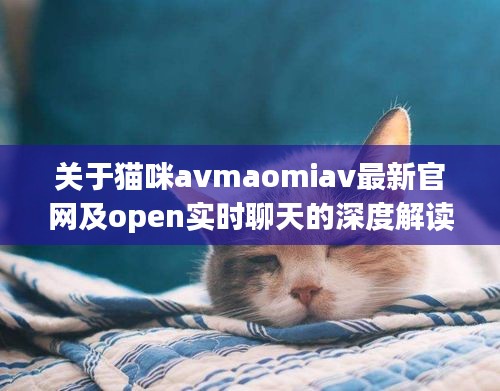 关于猫咪avmaomiav最新官网及open实时聊天的深度解读与策略探讨