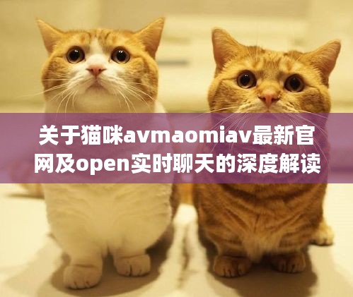 关于猫咪avmaomiav最新官网及open实时聊天的深度解读与策略探讨