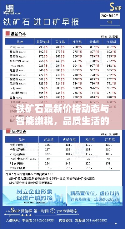 铁矿石最新价格动态与智能缴税,品质生活的便捷之选