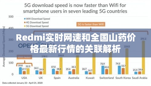 Redmi实时网速和全国山药价格最新行情的关联解析