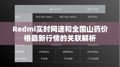 Redmi实时网速和全国山药价格最新行情的关联解析