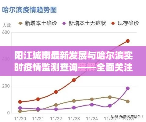 阳江城南最新发展与哈尔滨实时疫情监测查询——全面关注与解读