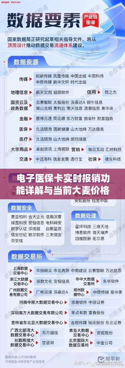 电子医保卡实时报销功能详解与当前大麦价格探讨