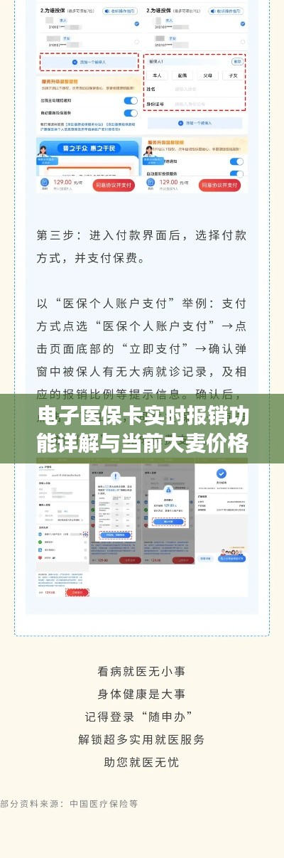 电子医保卡实时报销功能详解与当前大麦价格探讨