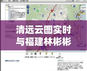 清远云图实时与福建林彬彬最新消息,关系阐释与协同落实建议