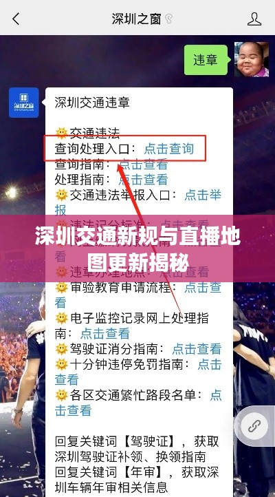 深圳交通新规与直播地图更新揭秘