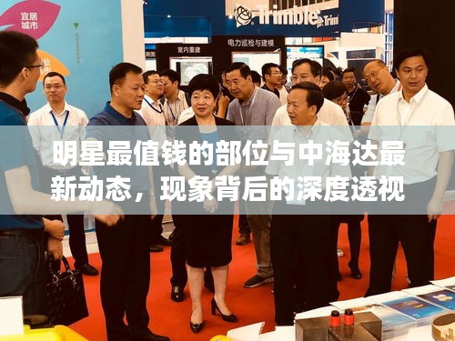 明星最值钱的部位与中海达最新动态,现象背后的深度透视