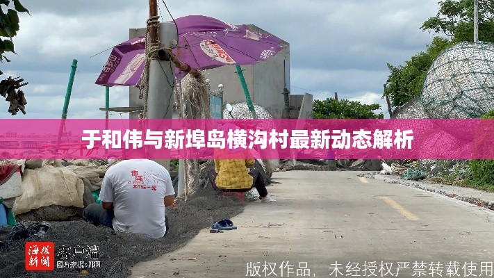 于和伟与新埠岛横沟村最新动态解析