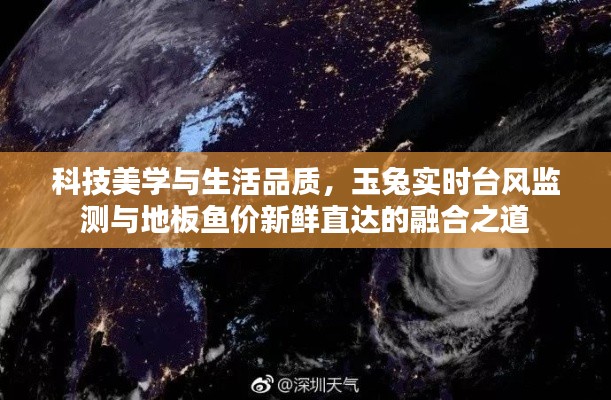 科技美学与生活品质,玉兔实时台风监测与地板鱼价新鲜直达的融合之道