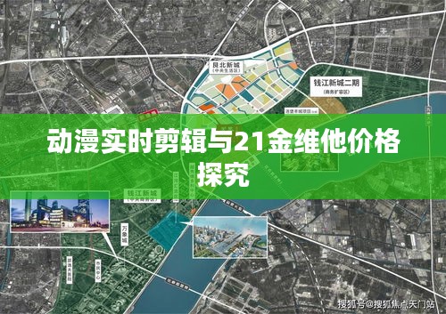 动漫实时剪辑与21金维他价格探究