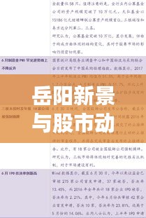 岳阳新景与股市动态同步观察