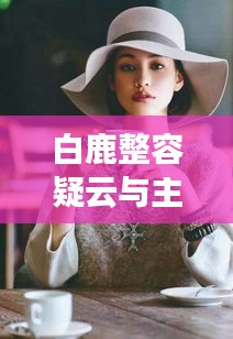 白鹿整容疑云与主板图解,社会现象透视与个人选择考量