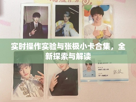 实时操作实验与张极小卡合集,全新探索与解读