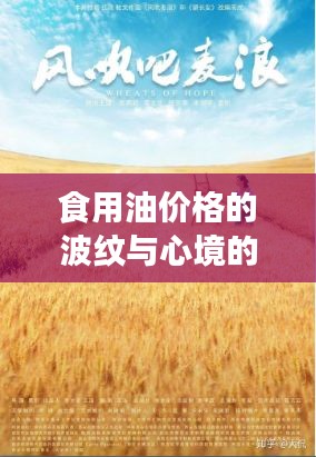 食用油价格的波纹与心境的涟漪,妮妲之影的影响