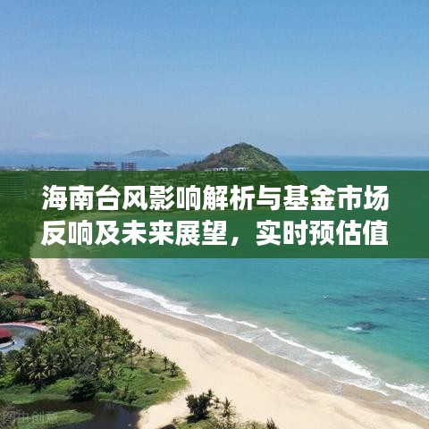 海南台风影响解析与基金市场反响及未来展望,实时预估值与市场展望