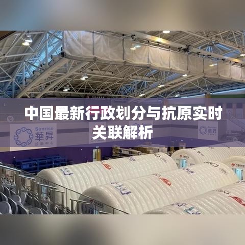 中国最新行政划分与抗原实时关联解析