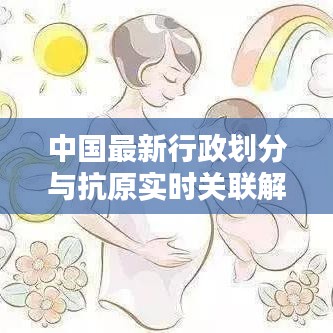 中国最新行政划分与抗原实时关联解析
