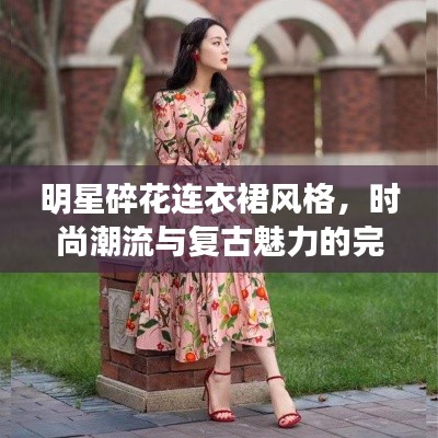 明星碎花连衣裙风格,时尚潮流与复古魅力的完美融合