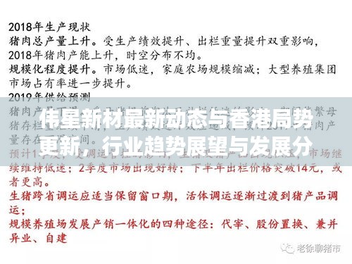 伟星新材最新动态与香港局势更新,行业趋势展望与发展分析