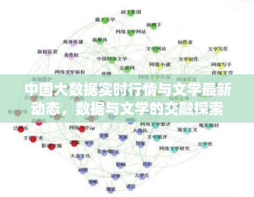 中国大数据实时行情与文学最新动态,数据与文学的交融探索