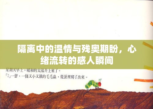 隔离中的温情与残奥期盼,心绪流转的感人瞬间