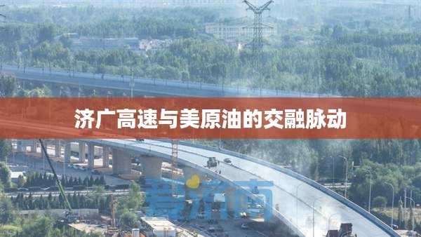济广高速与美原油的交融脉动
