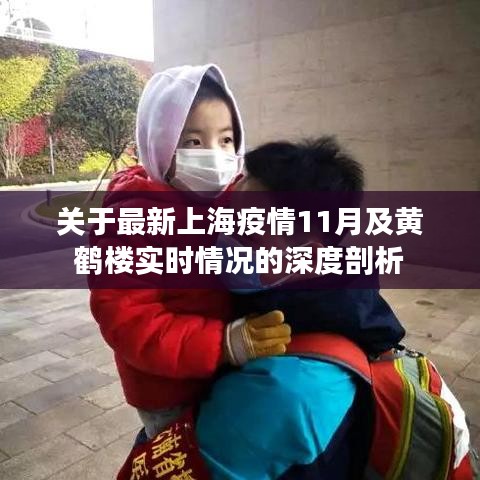 关于最新上海疫情11月及黄鹤楼实时情况的深度剖析