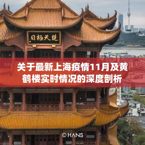 关于最新上海疫情11月及黄鹤楼实时情况的深度剖析