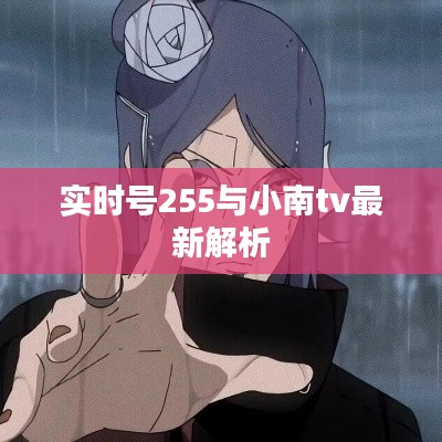 实时号255与小南tv最新解析