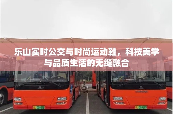 乐山实时公交与时尚运动鞋,科技美学与品质生活的无缝融合