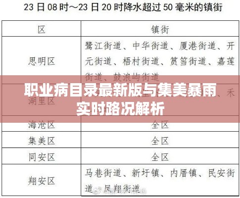 职业病目录最新版与集美暴雨实时路况解析