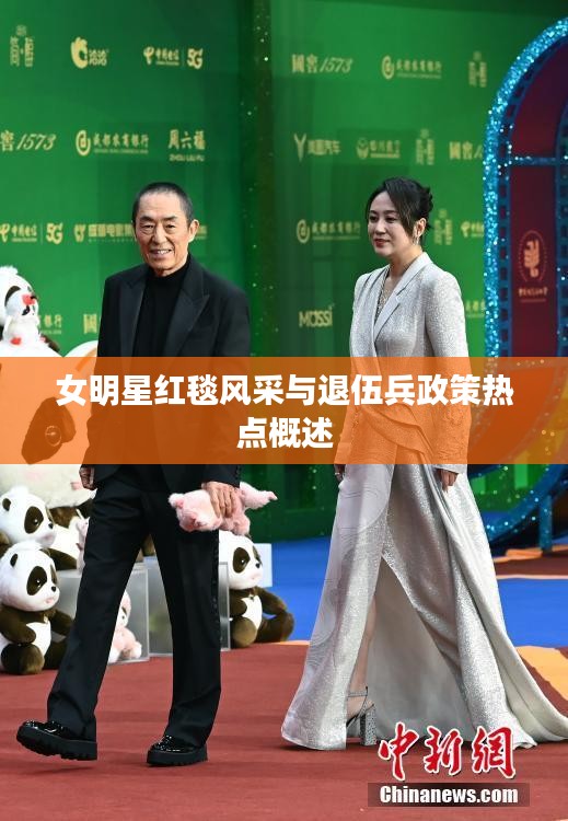 女明星红毯风采与退伍兵政策热点概述