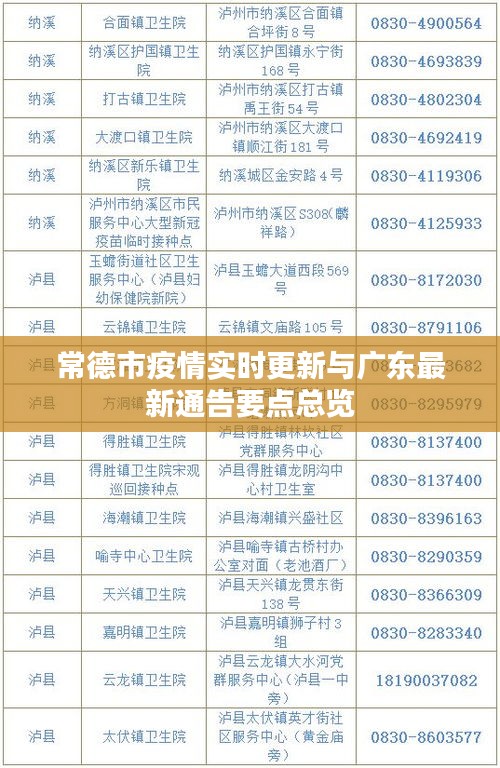 常德市疫情实时更新与广东最新通告要点总览