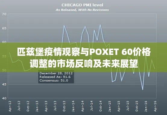 匹兹堡疫情观察与POXET 60价格调整的市场反响及未来展望