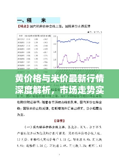 黄价格与米价最新行情深度解析,市场走势实时报告