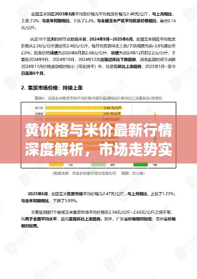 黄价格与米价最新行情深度解析,市场走势实时报告