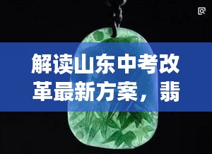 解读山东中考改革最新方案,翡翠明星闪耀,引领未来教育改革之路