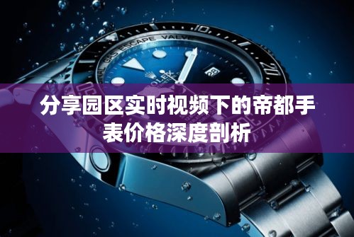 分享园区实时视频下的帝都手表价格深度剖析