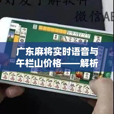 广东麻将实时语音与午栏山价格——解析真实含义、价值与宣传真伪